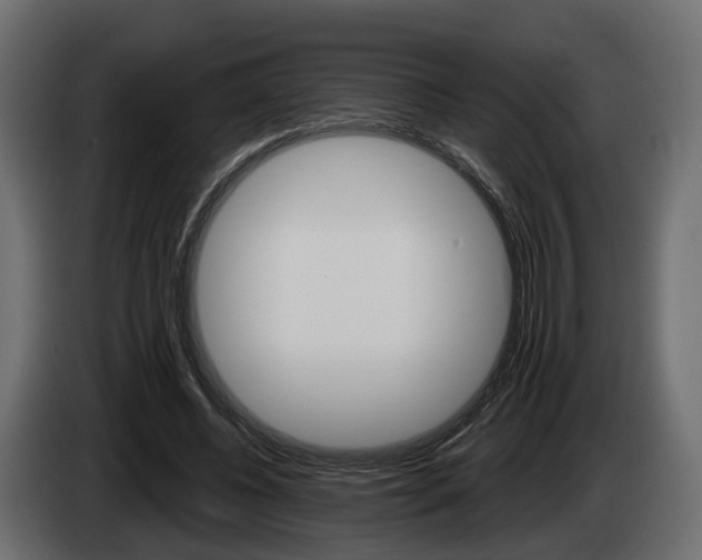 X0000085040540200703051027