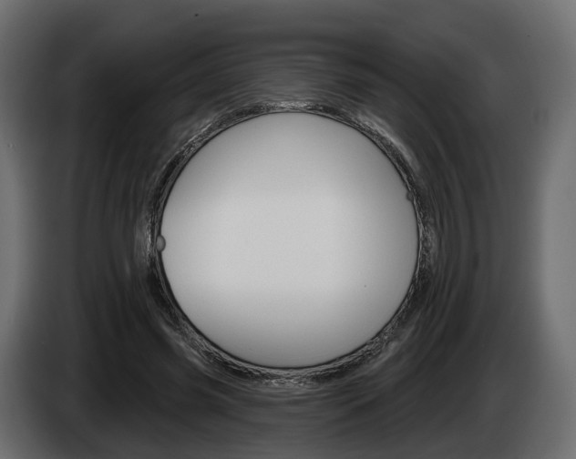 X0000085040541200703051027