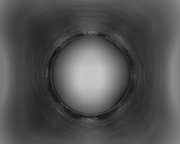 X0000085040548200703051027