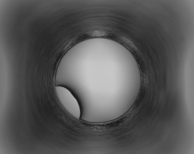 X0000085040549200703051027