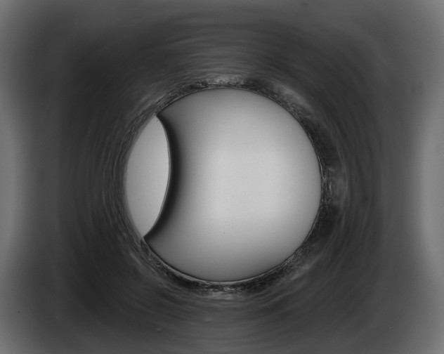 X0000085040550200703051027