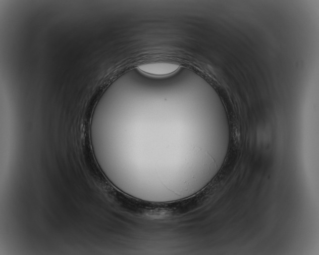 X0000085040551200703051027