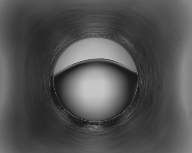 X0000085040552200703051027