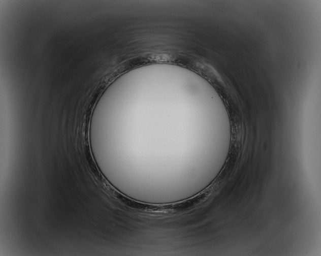 X0000085040553200703051027