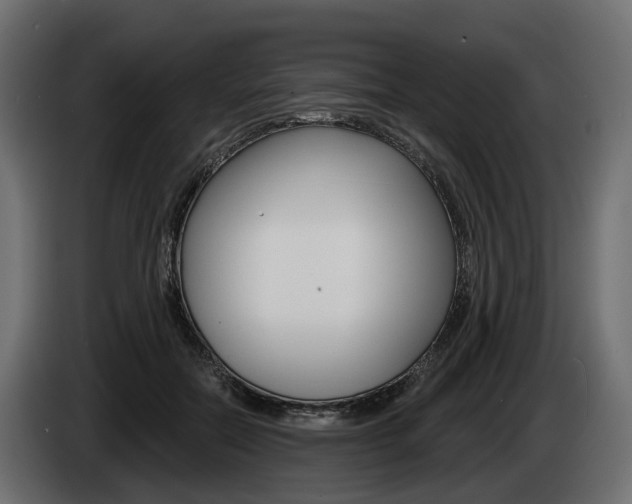 X0000085040554200703051027