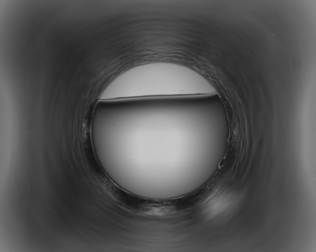 X0000085040555200703051027