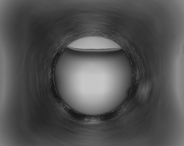 X0000085040559200703051027