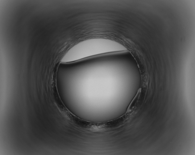 X0000085040560200703051027