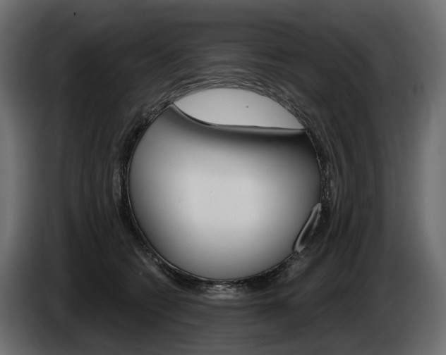 X0000085040562200703051027