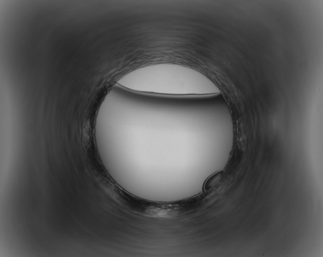 X0000085040563200703051027