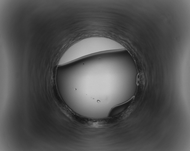 X0000085040564200703051027