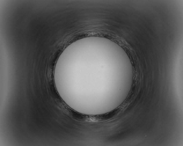 X0000085040565200703051027