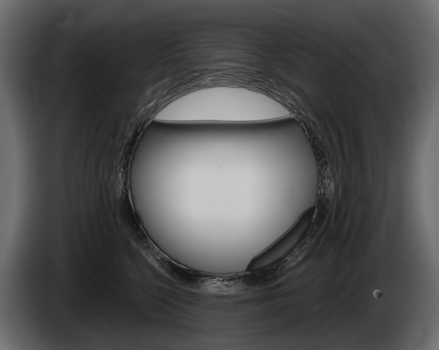 X0000085040568200703051027