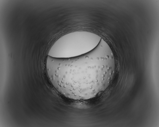 X0000085040569200703051027