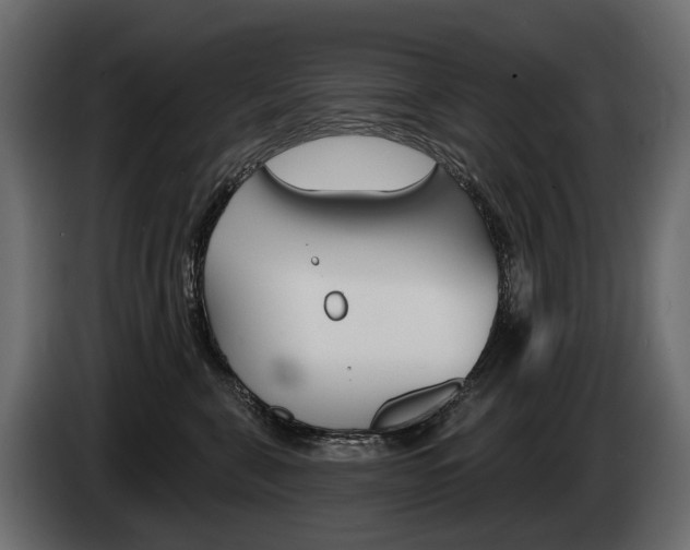 X0000085040571200703051027