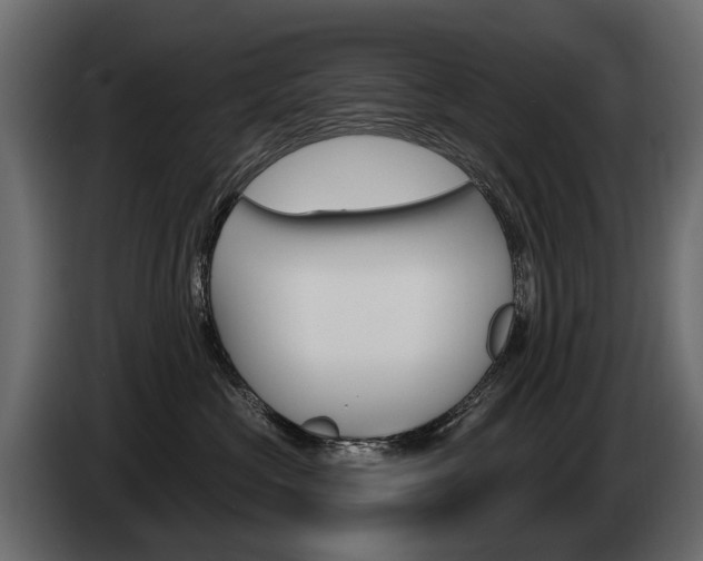 X0000085040573200703051027