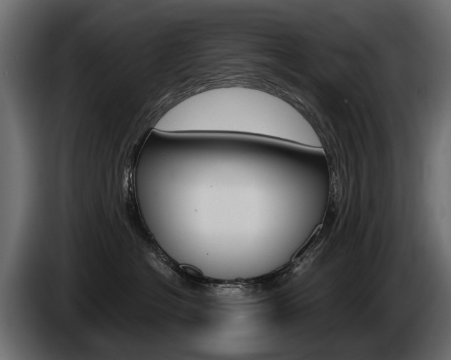 X0000085040574200703051027