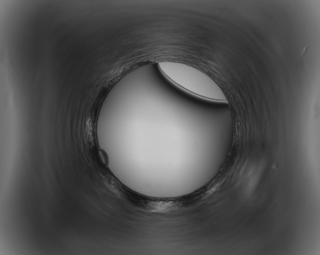 X0000085040575200703051027