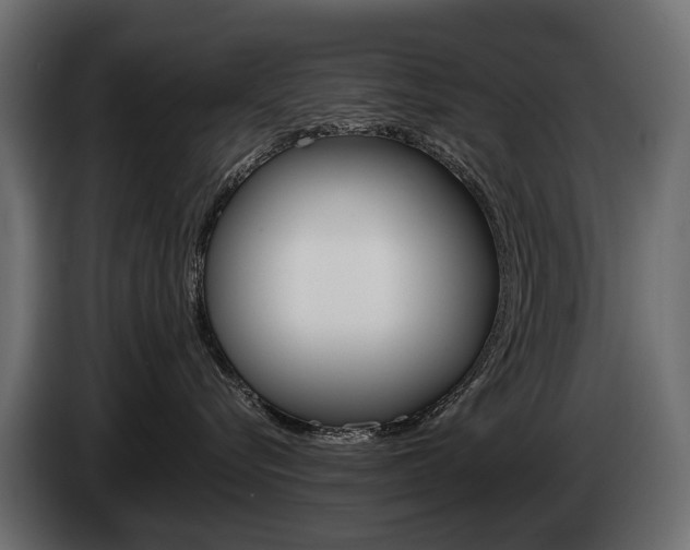 X0000085040576200703051027