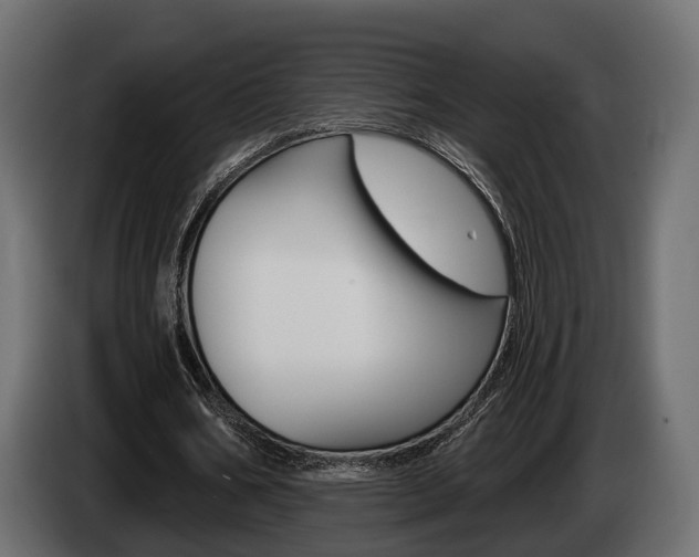 X0000085040578200703051027