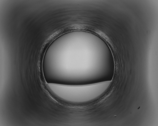 X0000085040581200703051027