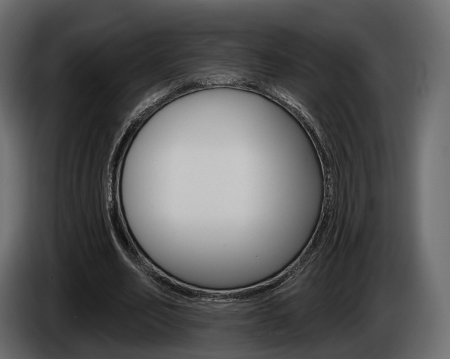 X0000085040582200703051027