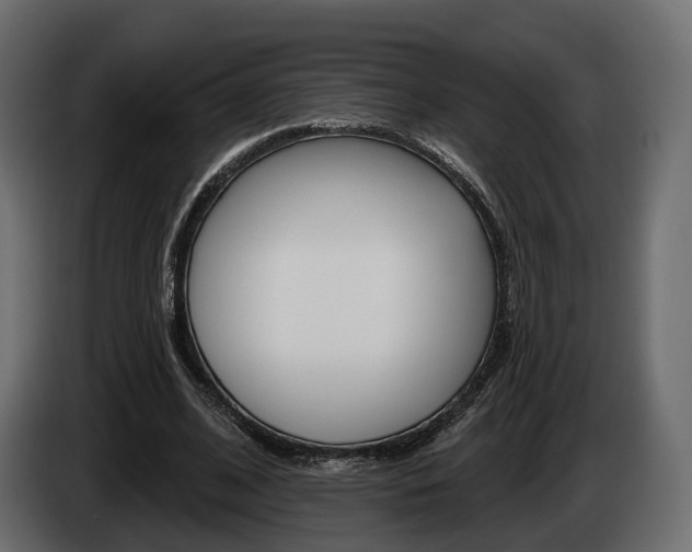 X0000085040584200703051027