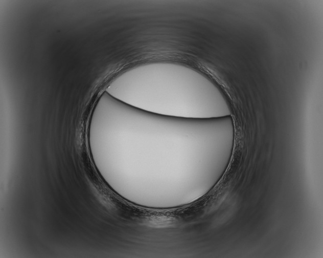 X0000085040586200703051027