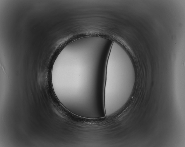 X0000085040588200703051027