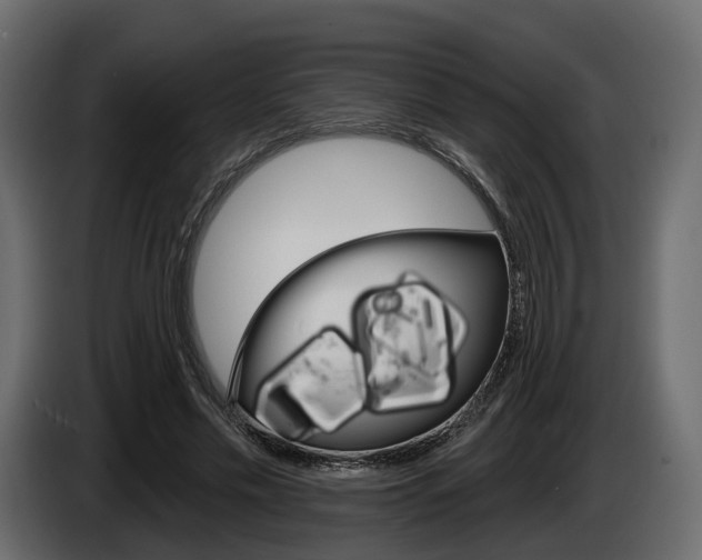 X0000085040589200703051027