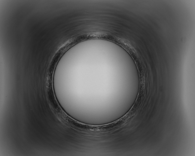 X0000085040591200703051027