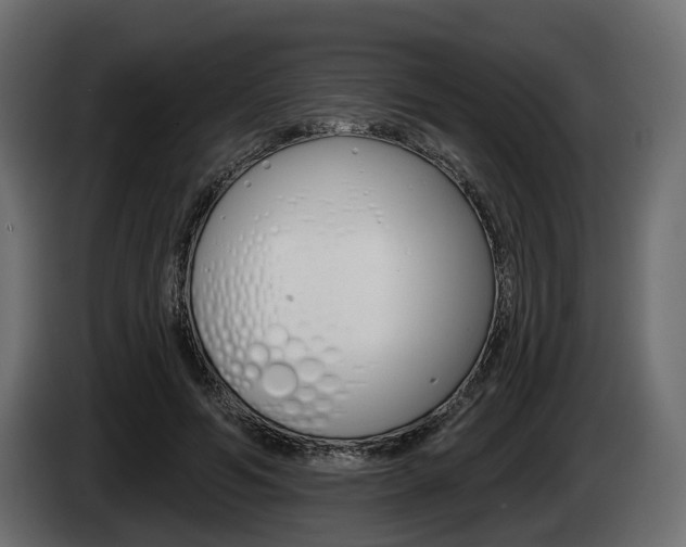 X0000085040594200703051027
