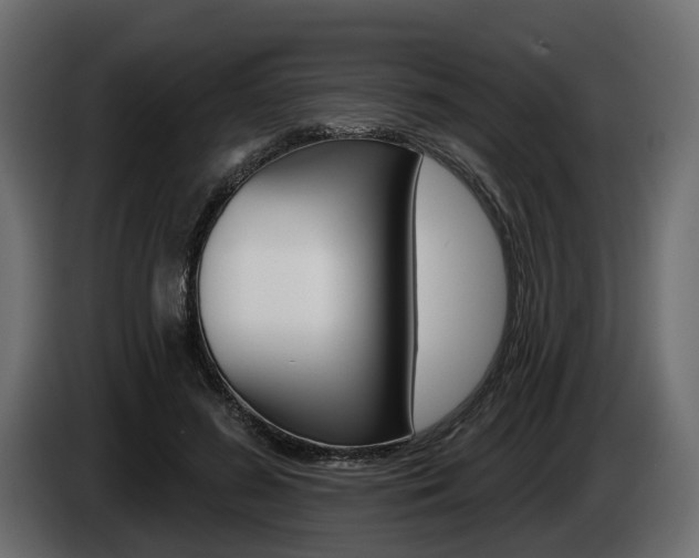 X0000085040596200703051027