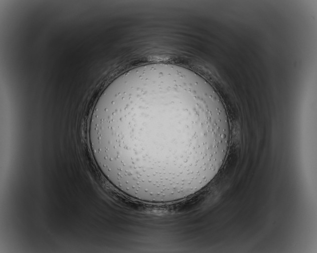X0000085040598200703051027