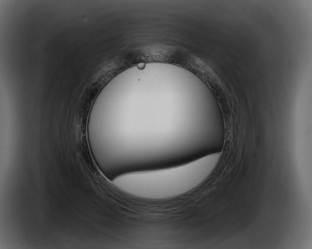 X0000085040599200703051027