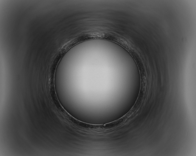 X0000085040600200703051027