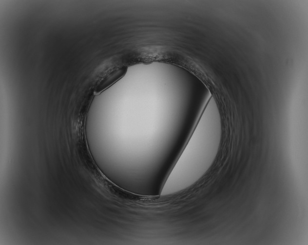 X0000085040601200703051027