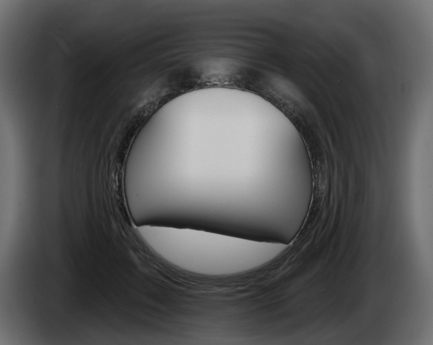 X0000085040603200703051027