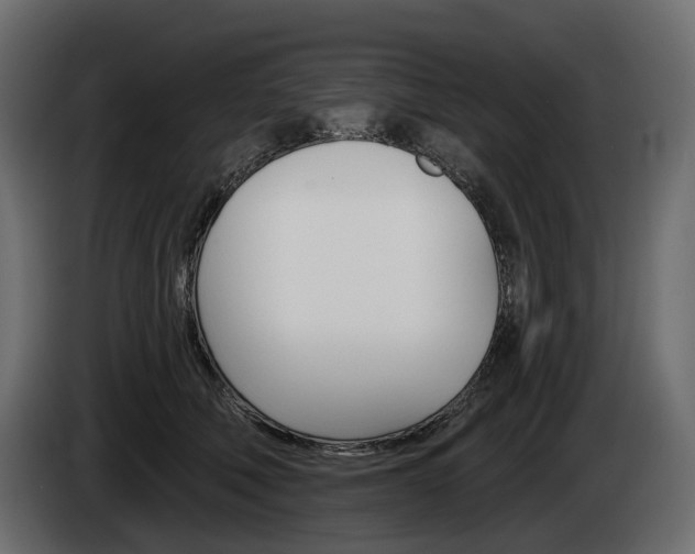 X0000085040610200703051026