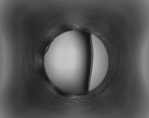 X0000085040613200703051026