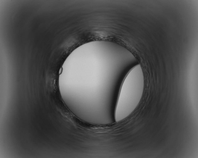 X0000085040615200703051026