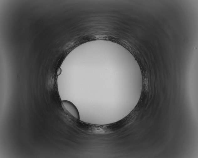X0000085040618200703051026