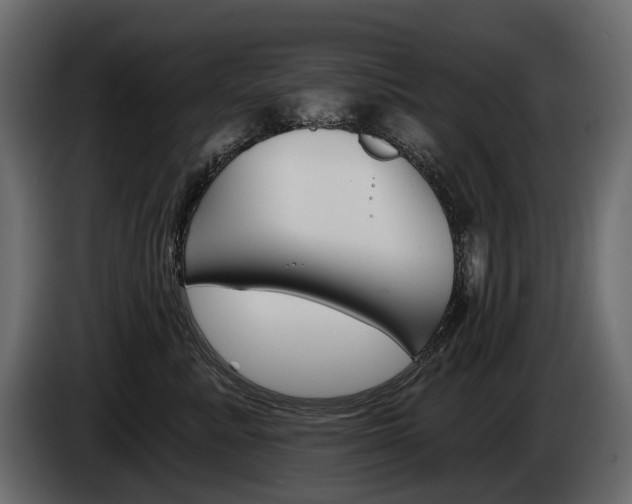 X0000085040619200703051026