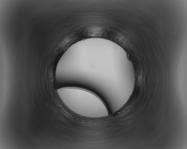 X0000085040620200703051026