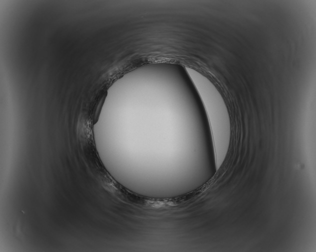 X0000085040621200703051026