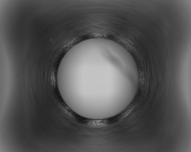 X0000085040622200703051026
