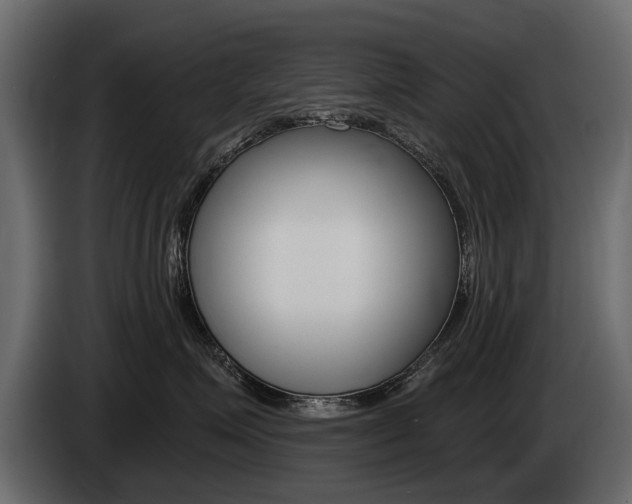 X0000085040623200703051026