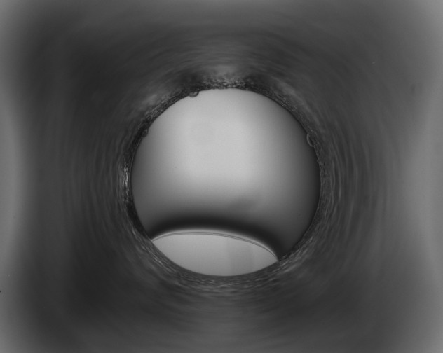 X0000085040624200703051026