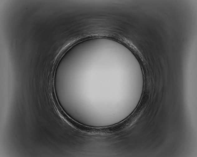 X0000085040625200703051026