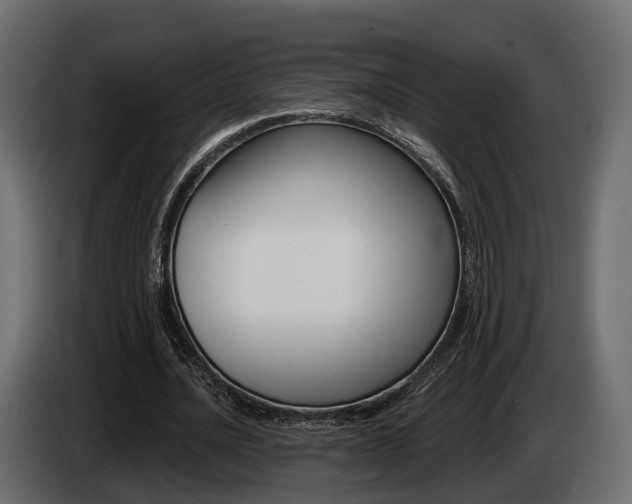 X0000085040628200703051026